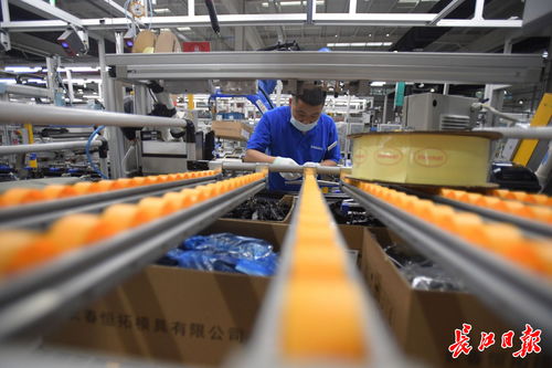 偉巴斯特武漢工廠提前投產(chǎn)，區(qū)域外資工業(yè)集聚效應(yīng)凸顯